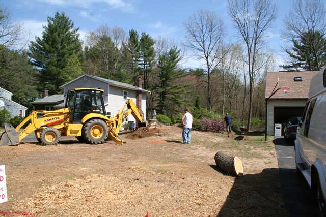 Stump Removal